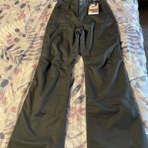 The north face snow pants